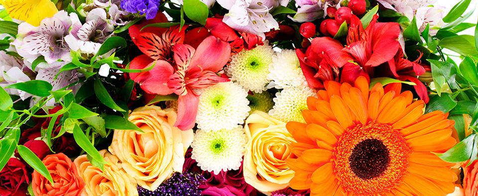 Gemini's Florist